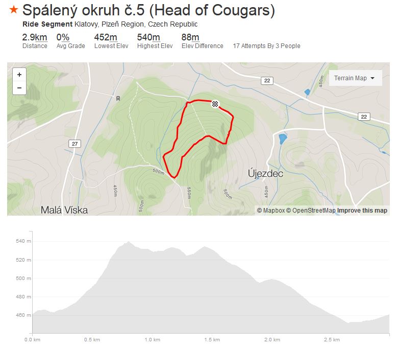 Head of Cougars